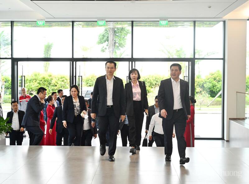 Z7197531216912b79a10e2bdf452605d05217765e798fb 09480512